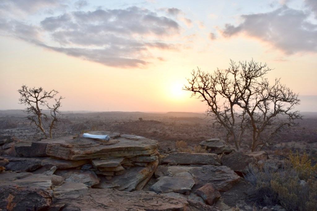 Why we fell in love with Botswana’s hidden gem – the Northern Tuli Game ...