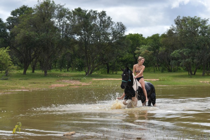 10 things you need to know before going on a Horse Safari Adventure in South&nbsp;Africa